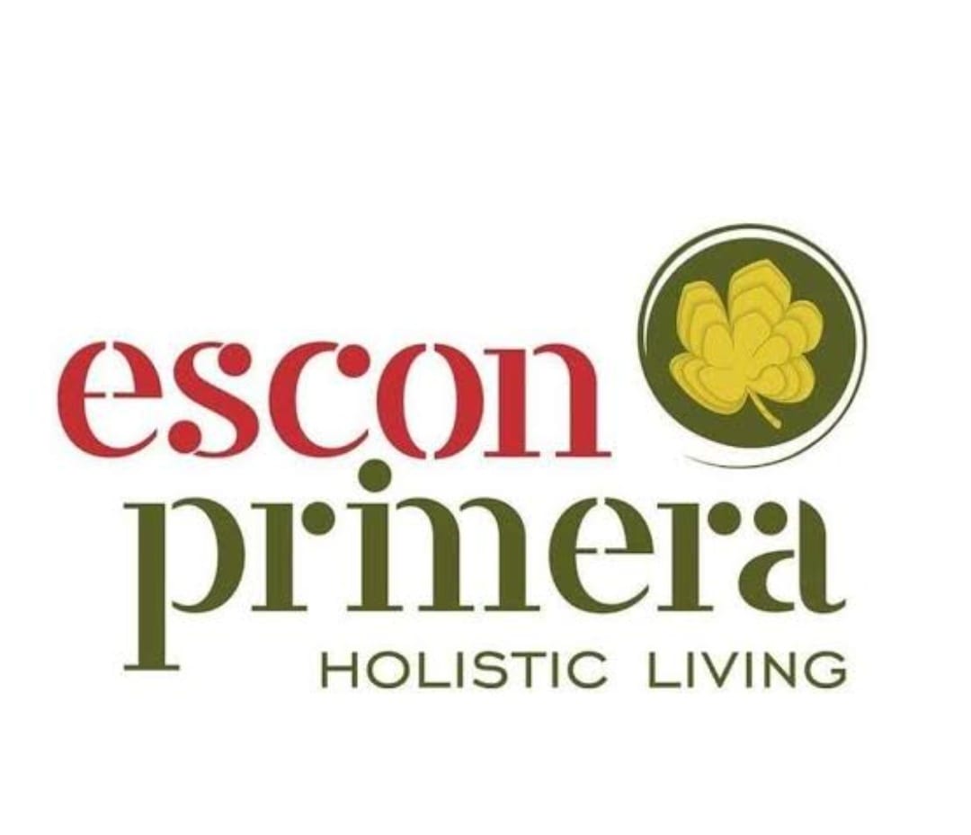 Partner 3